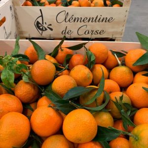 Au jardin d'Étienne